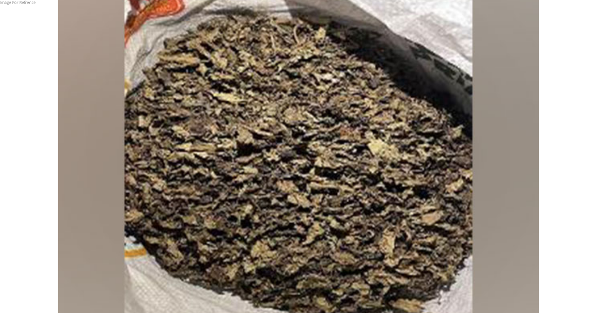 Rajasthan: DRI seizes narcotics valued at 33.07 crore